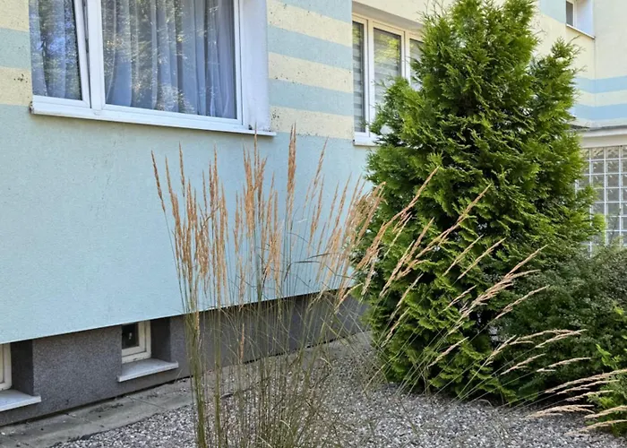 Dmi Premium Gdansk-beach